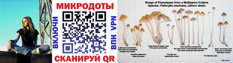 Купить  Иннополис  Галлюциногенные грибы Magic Shrooms 