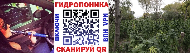 Купить где  Иннополис  Шишки марихуана тримм 